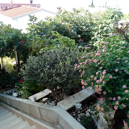 Speranda Appartement *